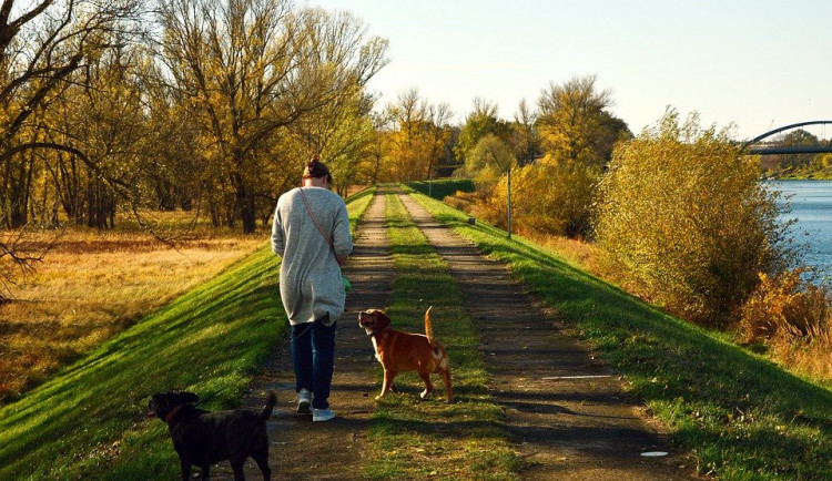 Týden bude slunečný, teploty až 20 stupňů, noci zůstanou mrazivé