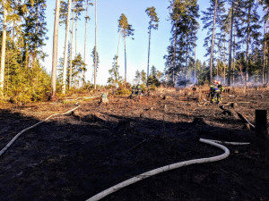 Hasiči s ohněm bojovvali v lese v Županovicích.