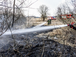 Požár trávy, u kterého hasiči zasahovali.