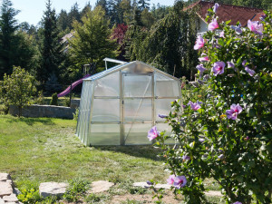 Grilovací sezona začíná. Kompletní vybavení najdete v Jihočeském Elektru