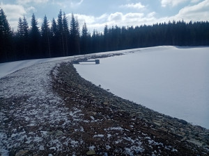 Vojenské lesy vrátily na Šumavu zaniklou plavební nádrž. Před sto lety sloužila k přepravě dřeva