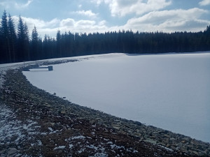 Vojenské lesy vrátily na Šumavu zaniklou plavební nádrž. Před sto lety sloužila k přepravě dřeva