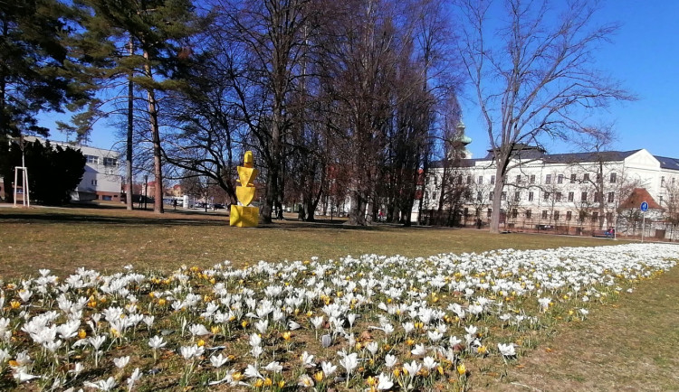 Květnaté pásy ve městě ožily. Do konce května přibudou v Budějcích další keře a stromy