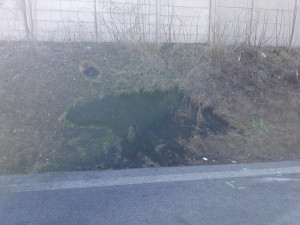 Starší řidič nebyl připoután bezpečnostním pásem.