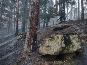 Hasiči druhý den bojují s požárem u Blanského lesa. Na místě zasahuje několik jednotek