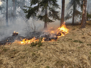 Hasiči druhý den bojují s požárem u Blanského lesa