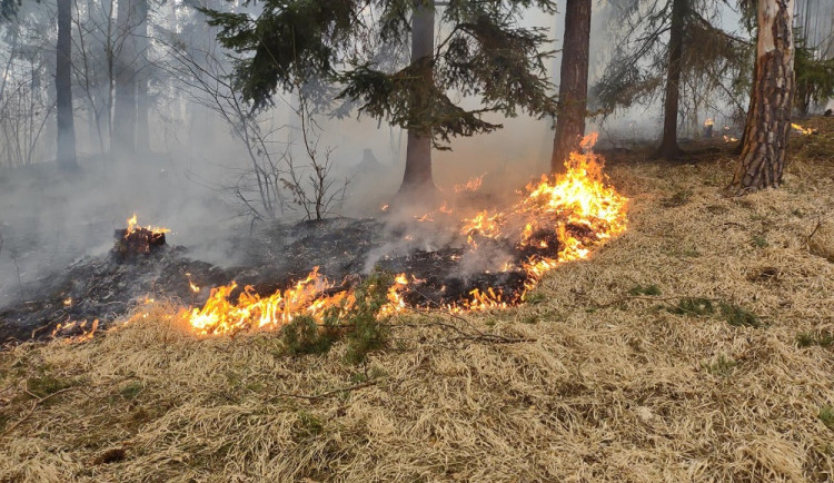 Hasiči druhý den bojují s požárem u Blanského lesa. Na místě zasahuje několik jednotek