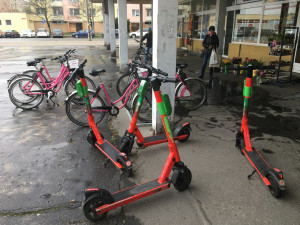 Do ulic opět vyrazily sdílené elektrokoloběžky. Město nad nimi chce mít více kontroly