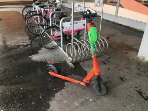 Do ulic opět vyrazily sdílené elektrokoloběžky. Město nad nimi chce mít více kontroly