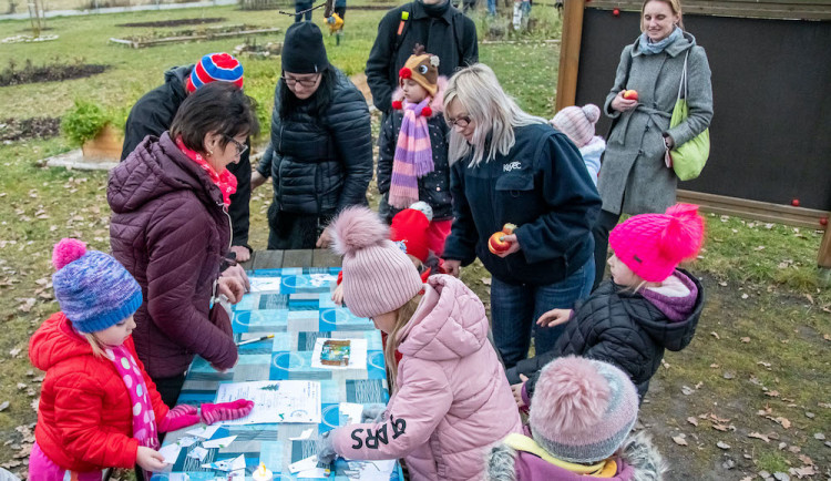 Vysokoškolský kampus v srdci Českých Budějovic se zazelenal
