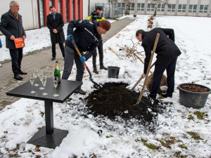 Vysokoškolský kampus v srdci Českých Budějovic se zazelenal