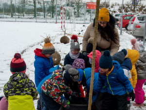 Vysokoškolský kampus v srdci Českých Budějovic se zazelenal
