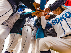 Sokol Hluboká vletěl do baseballové Extraligy a za sněžení porazil doma Techniku Brno