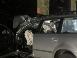 Tři lidé zemřeli při tragické nehodě na Jindřichohradecku. Auto narazilo do stromu