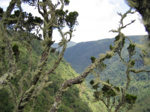 Fotografie z cest po Africe. Zdroj: archiv Oldřich Máca