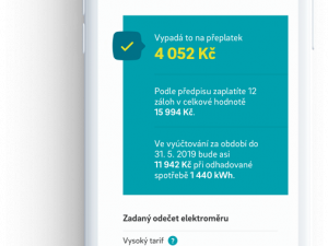 Pandemie covidu urychlila digitalizaci, říká vedoucí týmu Digital společnosti E.ON