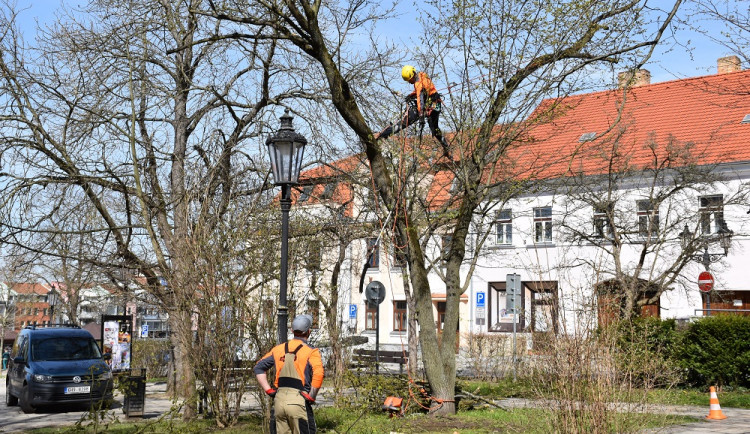 Práce v Palackého Sadech.