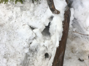 Takto našel ztracený trůn Petr Kalabza