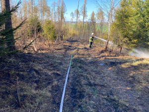 U Slapska hoří les. Hasiči vyhlásili druhý stupeň požárního poplachu