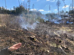 U Slapska hoří les. Hasiči vyhlásili druhý stupeň požárního poplachu