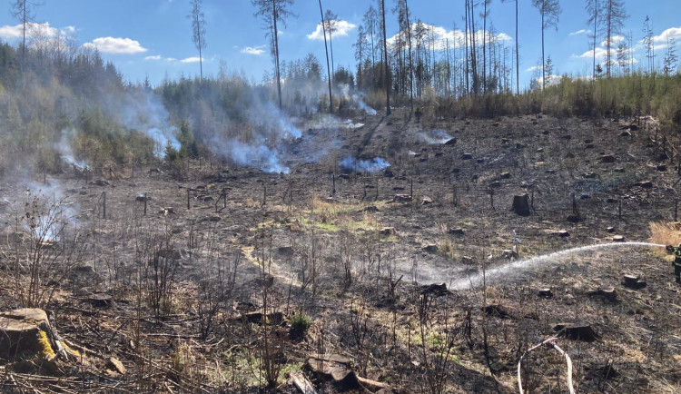 U Slapska hoří les. Hasiči vyhlásili druhý stupeň požárního poplachu