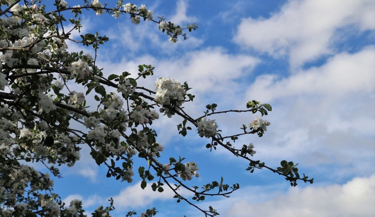 Druhá půlka týdne přinese oteplení a občasný déšť
