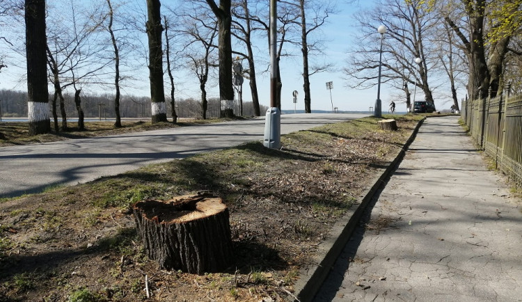 Chodník mezi rybníkem a parkem se zvětší, poslouží chodcům i cyklistům.