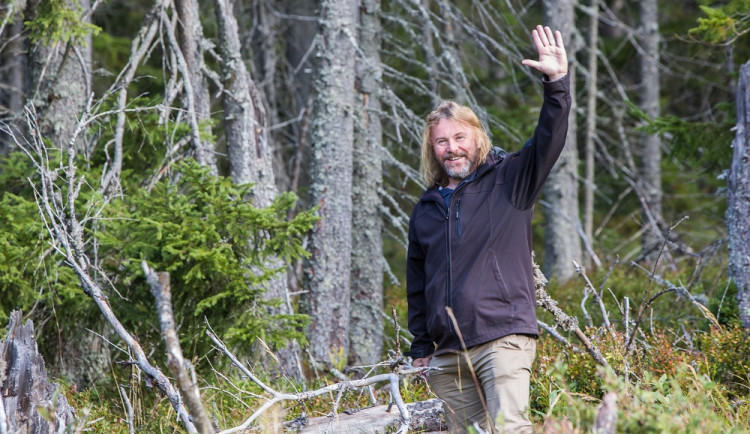 Viděl jsem zřícení souše při bezvětří. Boubínský prales se bude desítky let měnit, říká ředitel národního parku