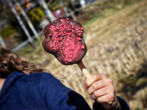 Království lesa na Lipně otevírá své brány
