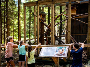 Království lesa na Lipně otevírá své brány