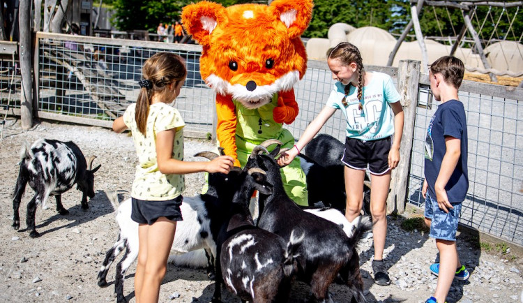 Království lesa na Lipně otevírá své brány