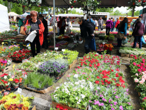 Vyhrajte vstupenky na výstavu Hobby