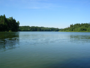Čtyři rybníky na Jindřichohradecku jsou nově přírodními památkami