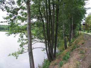 Čtyři rybníky na Jindřichohradecku jsou nově přírodními památkami