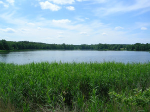 Čtyři rybníky na Jindřichohradecku jsou nově přírodními památkami