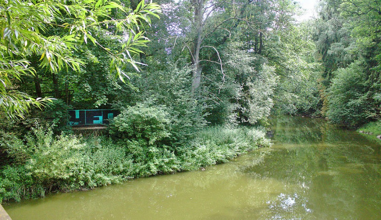 Řeka Nežárka. Ilustrační foto.