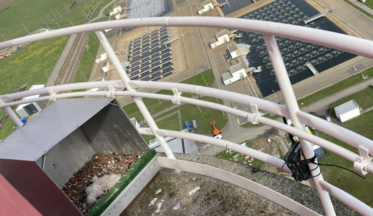 Sokolí mláďata obývají komín v areálu temelínské elektrárny