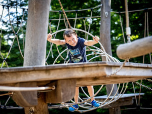 Navštivte víkendové animační programy v Království lesa