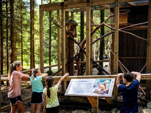 Navštivte víkendové animační programy v Království lesa