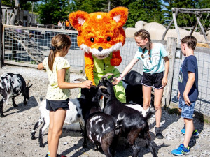Navštivte víkendové animační programy v Království lesa