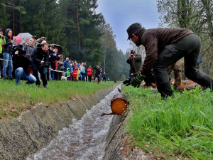 Želnavským smykem se po více než 60 letech plavilo dříví. Rekonstrukce trvala tři roky