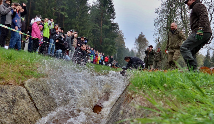 Želnavským smykem se po více než 60 letech plavilo dříví. Rekonstrukce trvala tři roky