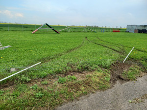 Při trénování smyků řidič poničil oplocené psí cvičiště. Letos to řeším podruhé, zlobí se správkyně