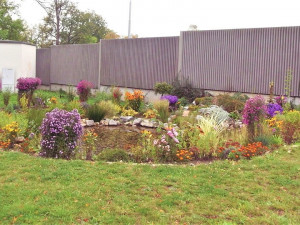 Radnice rozdává štědré ceny za květiny