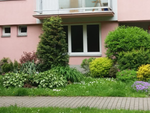 Radnice rozdává štědré ceny za květiny