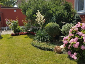 Radnice rozdává štědré ceny za květiny