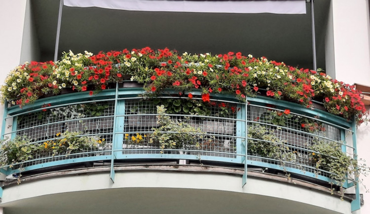 Radnice rozdává štědré ceny za květiny