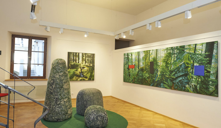 Výstava Silva Artis. Umělci tvoří na společné téma les