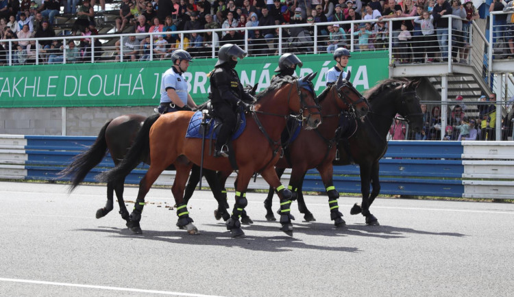 Žena spadla z koně v lesích v okolí Sosnové. Našla ji jízdní policie, která byla poblíž