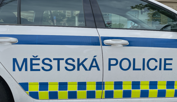 Mladík v Brně máchal rukama a ukazoval prostředníček. Dostal pouta